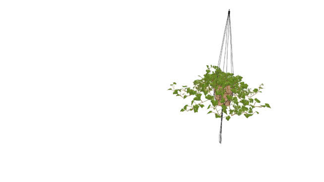 吊挂植物 其他 画 饰品 湖