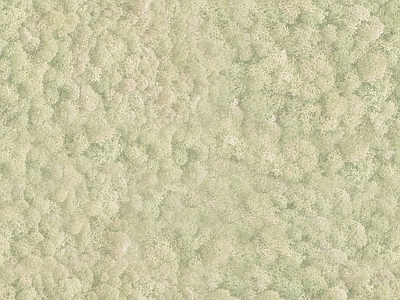 稻草漆