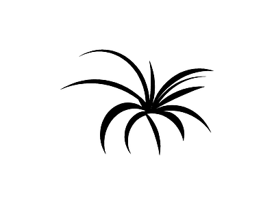 绿植 上下楼梯床