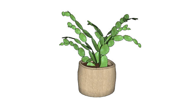 室内盆栽植物 其他 植物 花瓶 花盆 画