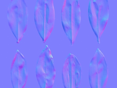 其他法线