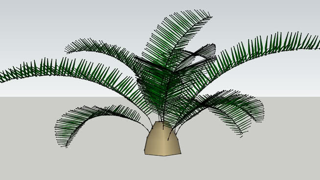 盆栽植物 风扇 其他 植物 钞票 画