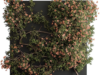 石榴花植物墙