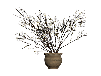 带花枝的陶瓷花盆