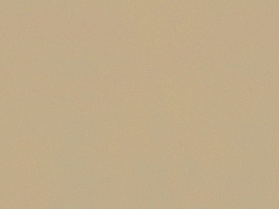 其他乳胶漆