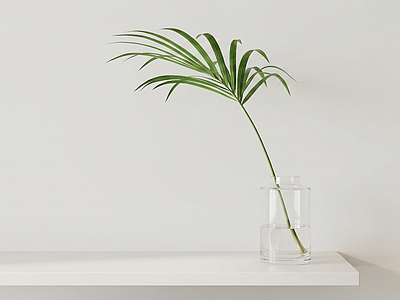 桌面造型绿植草本植物
