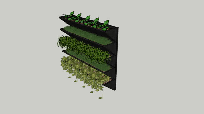 Planter 西葫芦 植物 黄瓜 铅笔 螺丝钉