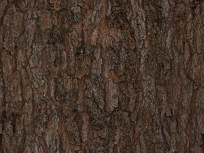 洞石
