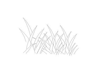 草坪种植 植物图块