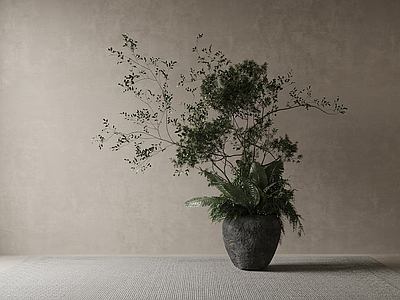 艺术绿植盆栽