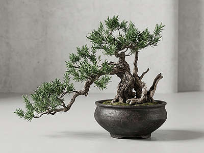 艺术绿植盆栽
