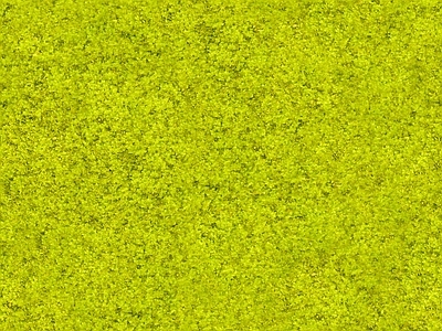 绿植墙