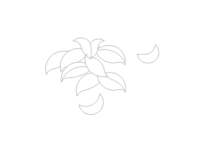 花 植物图块