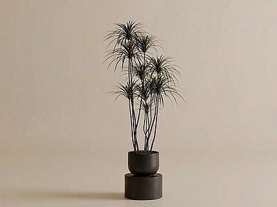 装饰绿植盆栽
