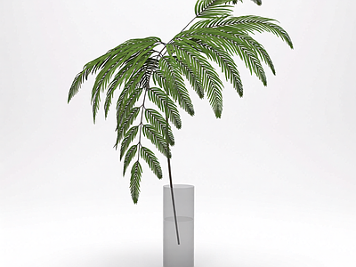 带盆绿植模型