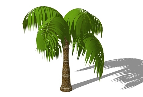 3D棕榈科植物