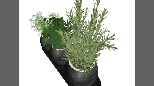 植物 花瓶 植物 花盆 其他