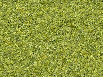绿植墙