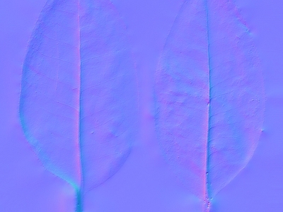其他法线