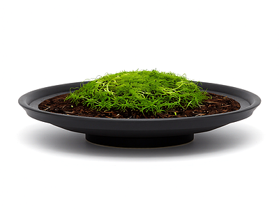 盆栽植物装饰组件