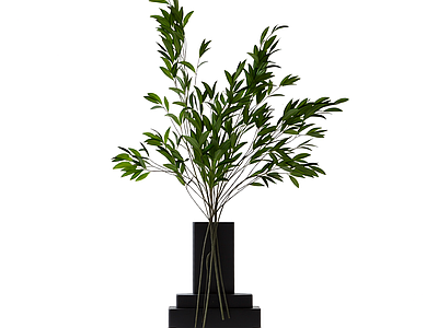 盆栽植物装饰