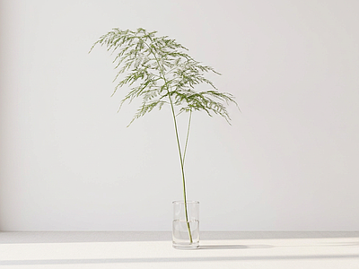 艺术绿植草本植物