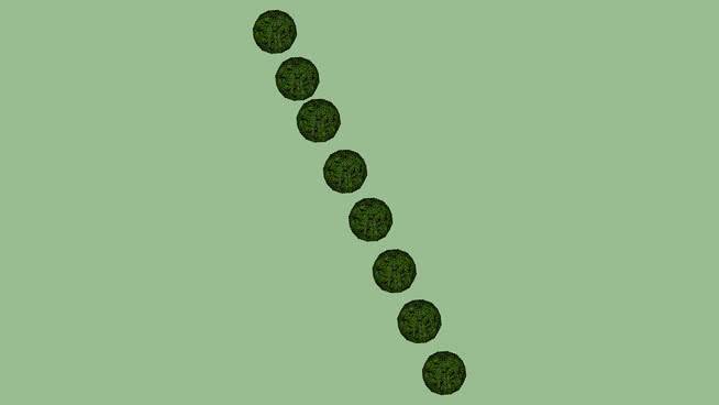 Alignment of 8黄杨 其他 网球 火柴 纽扣 家居物品