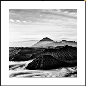 黑白装饰画90