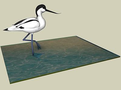 AVOCETTE