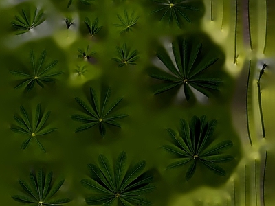 绿植墙