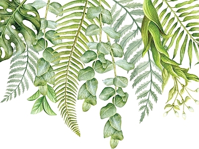 绿植墙