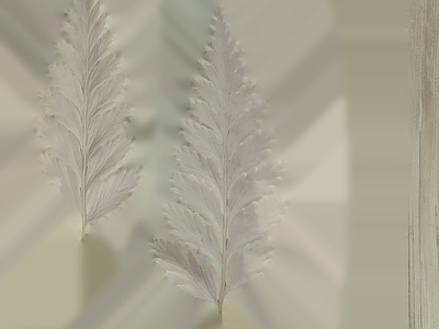 绿植墙
