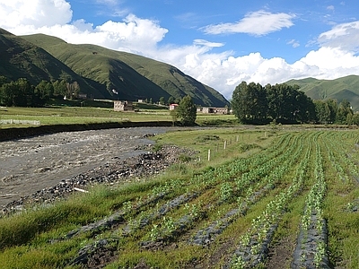 新都桥