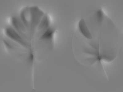 绿植墙