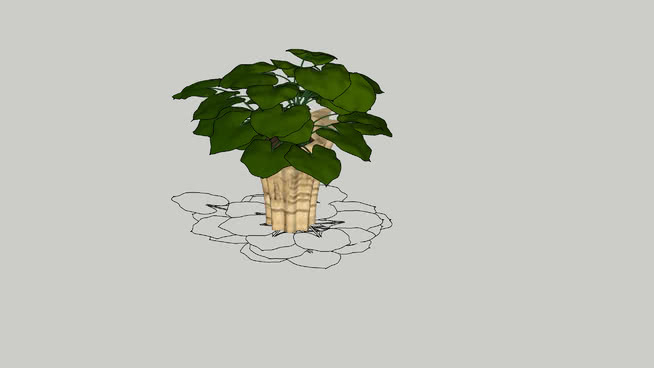 迪巴克-周浩1 其他 画 盘子 饰品