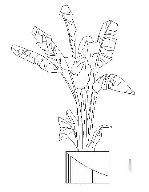 盆栽植物图块