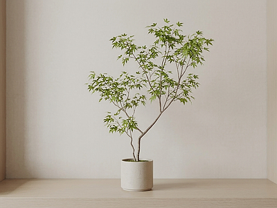 造型绿植盆栽