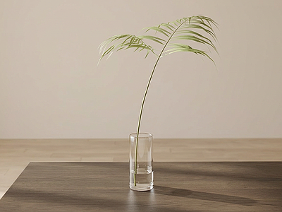 装饰绿植草本植物