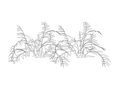 种绿植盆栽图块 植物