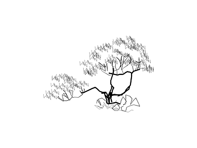 乔木种植 常用植物图例