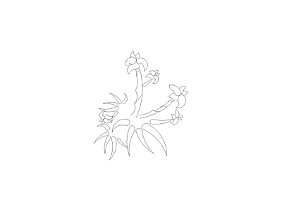 备用植物图例 毛杜鹃