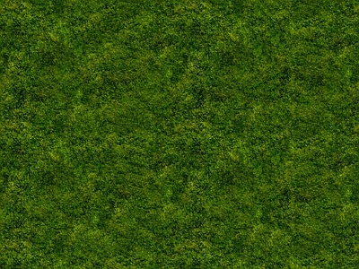 绿植墙