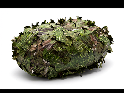 绿色植物球体装饰