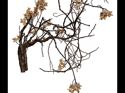 干花枝条装饰