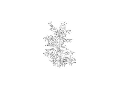 绿植 植物图块