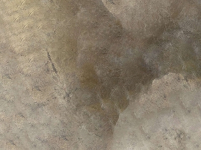 马来漆