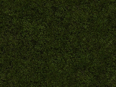 绿植墙