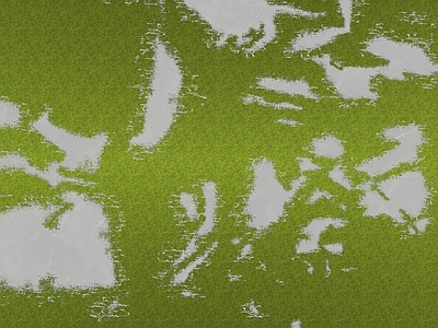 绿植墙