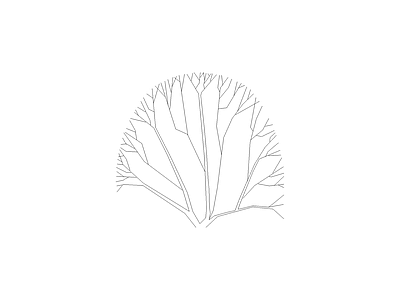 乔木种植 园林常见植物品种图例及说明