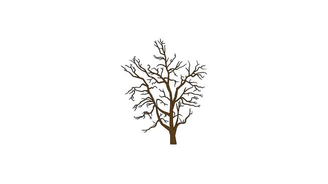 2D冬树高线 植物 画 其他 饰品 演出